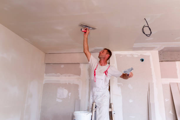 Best Stucco Painting  in Meadowbrook, CA